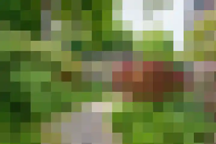 Dalweg 26 Hilversum thumbnail 16