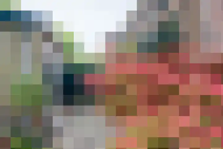Dalweg 26 Hilversum thumbnail 17