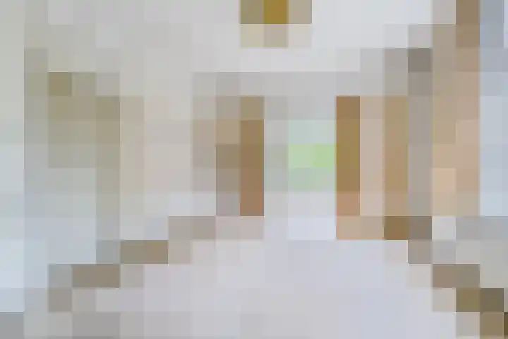 Dalweg 26 Hilversum thumbnail 7