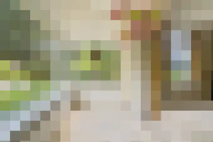 Dalweg 26 Hilversum thumbnail 9