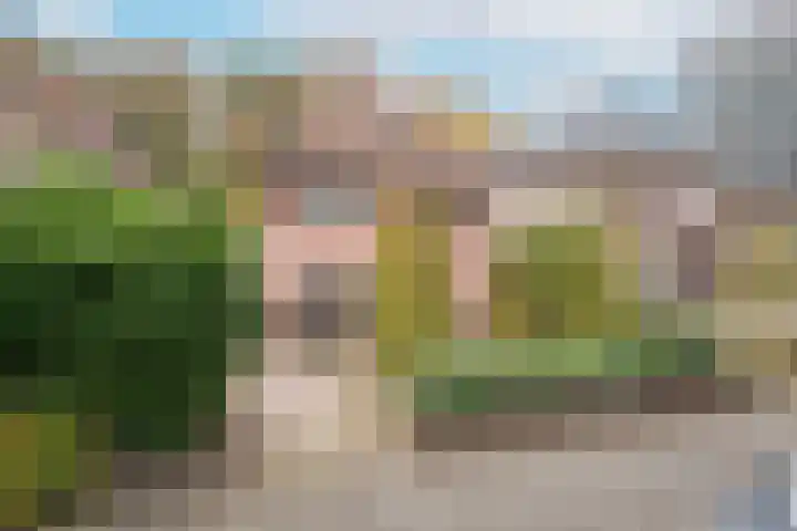 Dalweg 29 Arnhem thumbnail 6