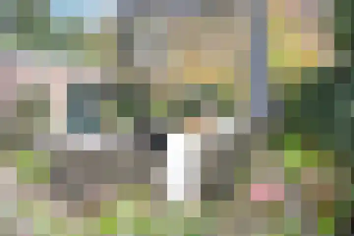 Dalweg 29 Arnhem thumbnail 65