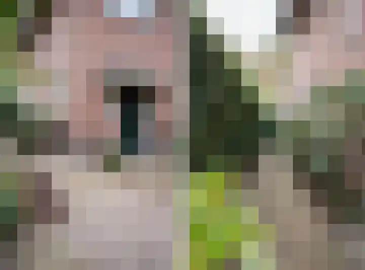 Dalweg 29 Arnhem thumbnail 7