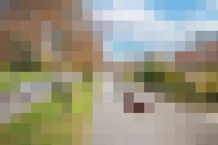 Dalweg 29 Arnhem thumbnail 74
