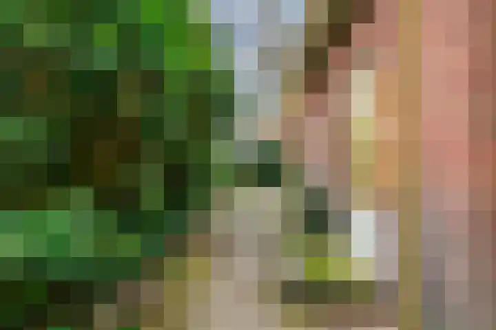 Dalweg 29 Zeist thumbnail 30