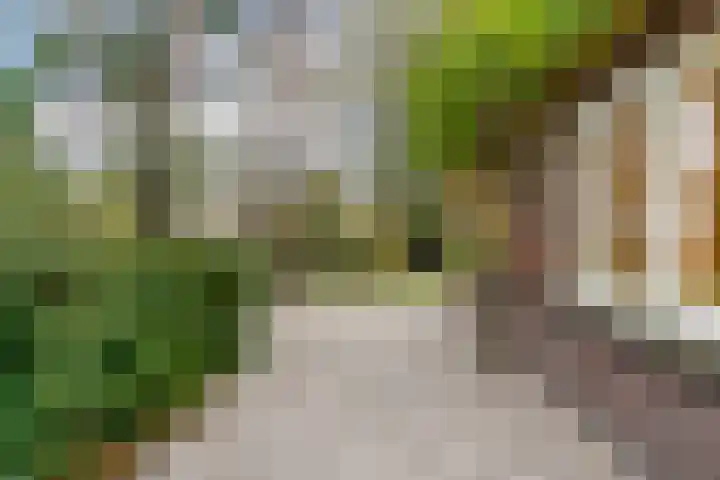 Dalweg 29 Zeist thumbnail 31