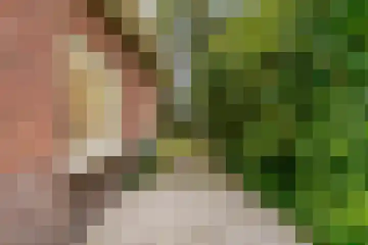 Dalweg 29 Zeist thumbnail 32