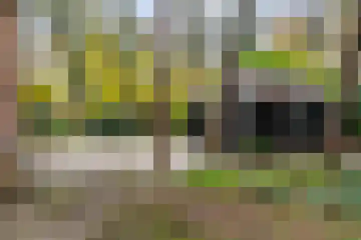 Dalweg 29 Zeist thumbnail 33