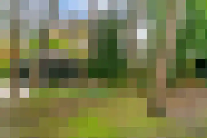 Dalweg 29 Zeist thumbnail 34