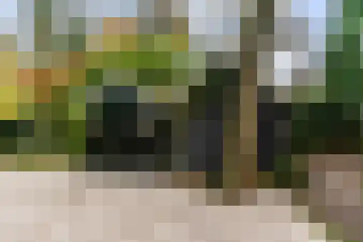 Dalweg 29 Zeist thumbnail 35