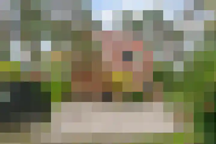 Dalweg 29 Zeist thumbnail 37
