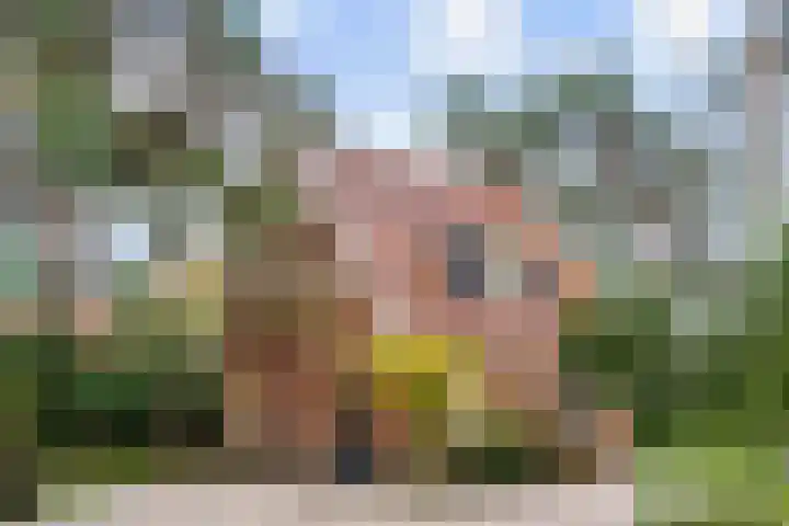 Dalweg 29 Zeist thumbnail 38