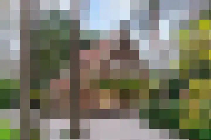 Dalweg 29 Zeist thumbnail 4