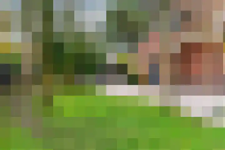 Dalweg 29 Zeist thumbnail 40