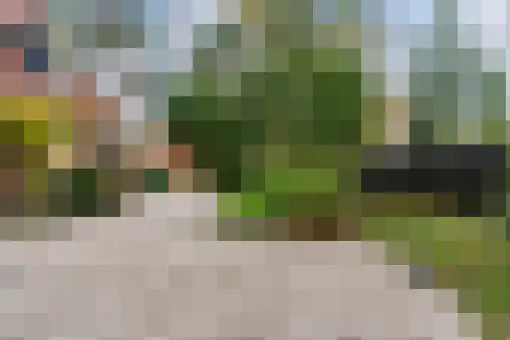 Dalweg 29 Zeist thumbnail 41