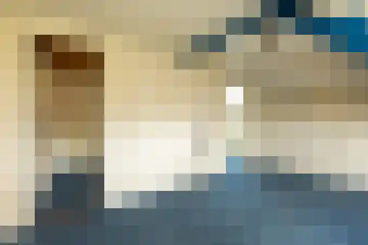 Dalweg 3 Hilversum thumbnail 30