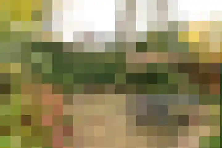 Dalweg 3 Hilversum thumbnail 34
