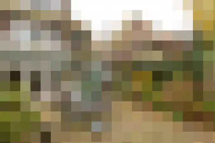 Dalweg 3 Hilversum thumbnail 35