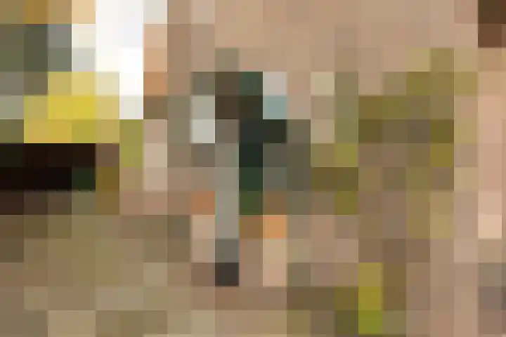 Dalweg 3 Hilversum thumbnail 36