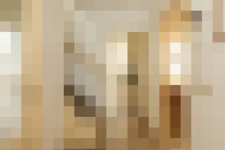 Dalweg 3 Hilversum thumbnail 7