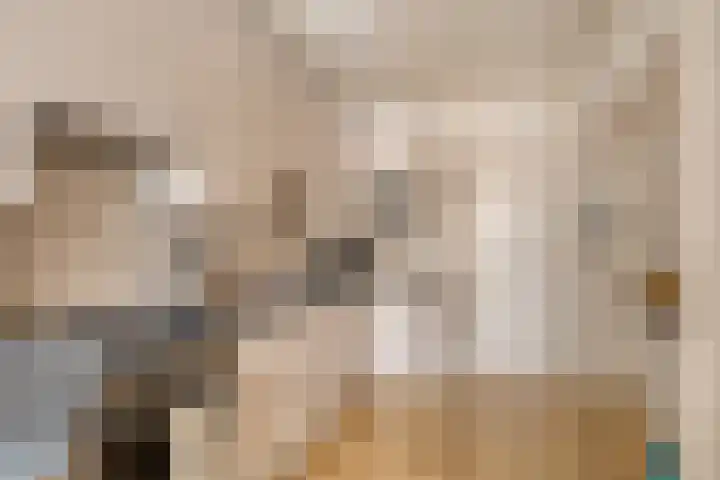 Dalweg 33 Aalten thumbnail 16