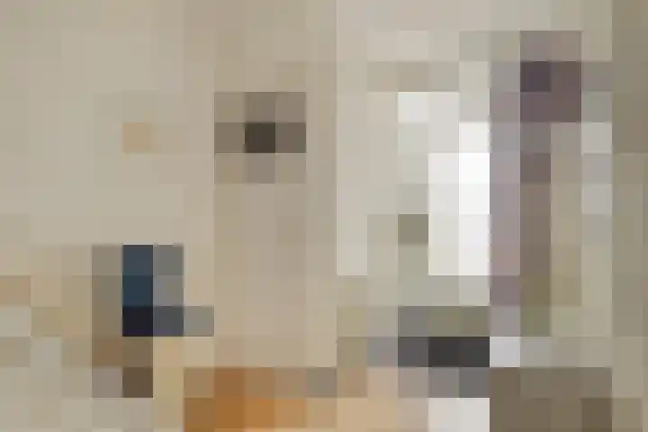 Dalweg 33 Aalten thumbnail 4