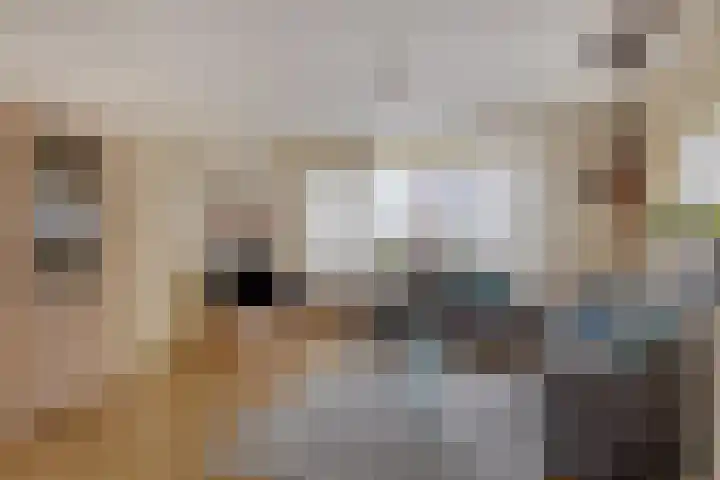 Dalweg 33 Aalten thumbnail 8