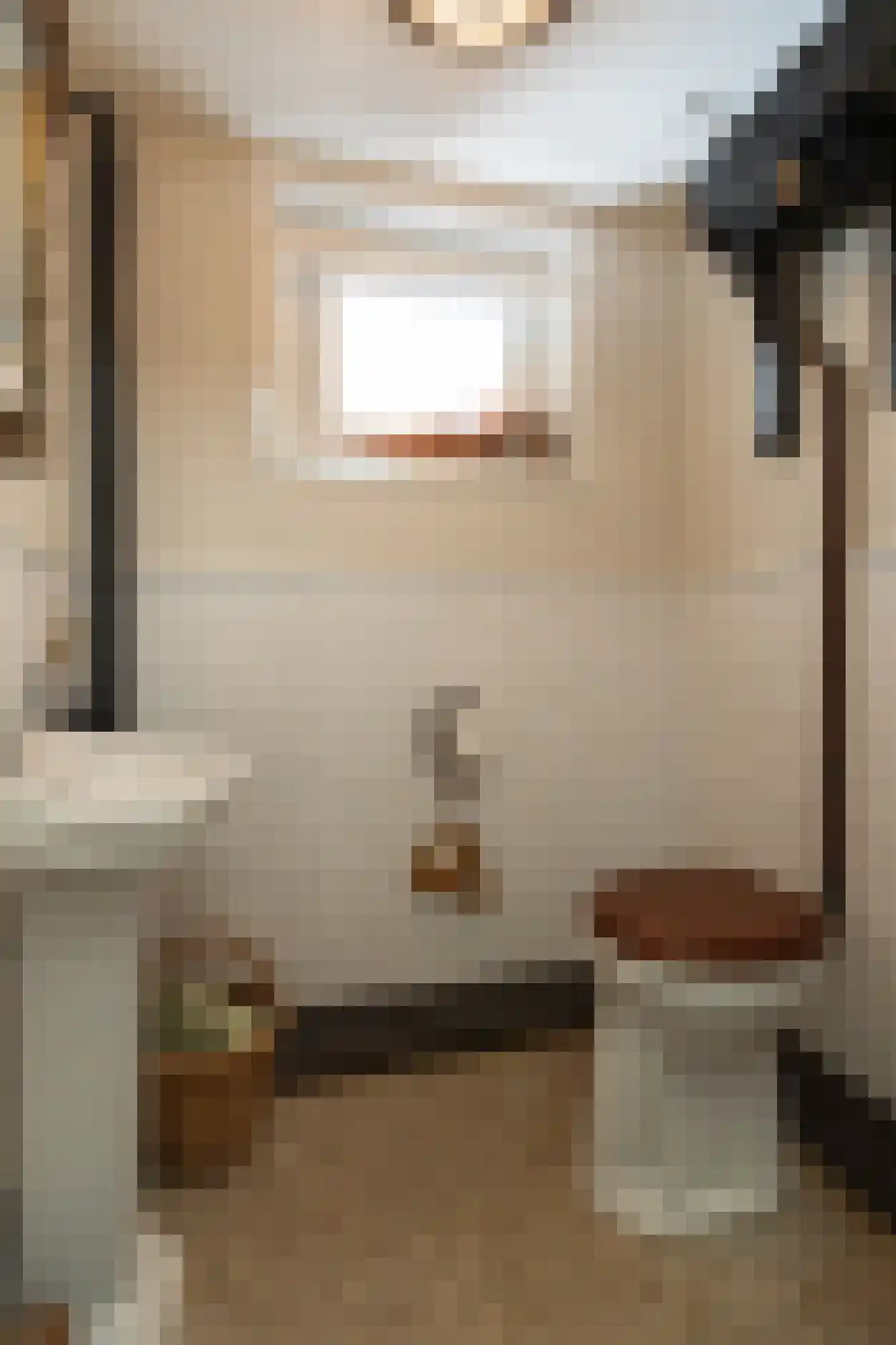 Dalweg 4 De Steeg thumbnail 13