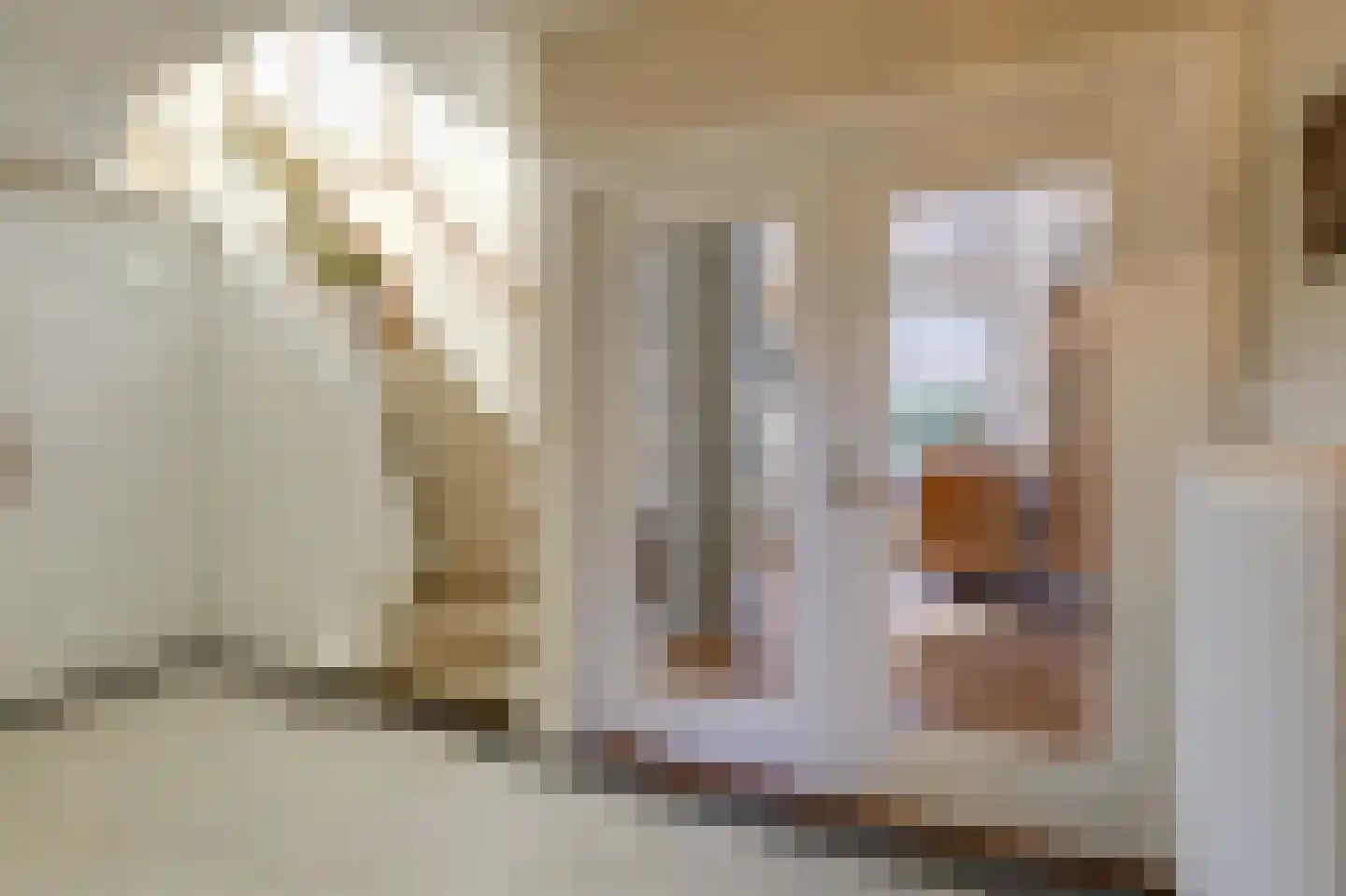 Dalweg 4 De Steeg thumbnail 14