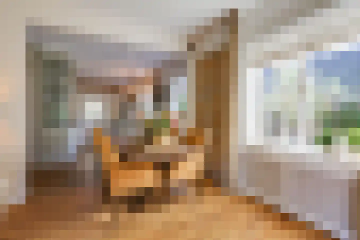 Dalweg 4 De Steeg thumbnail 15