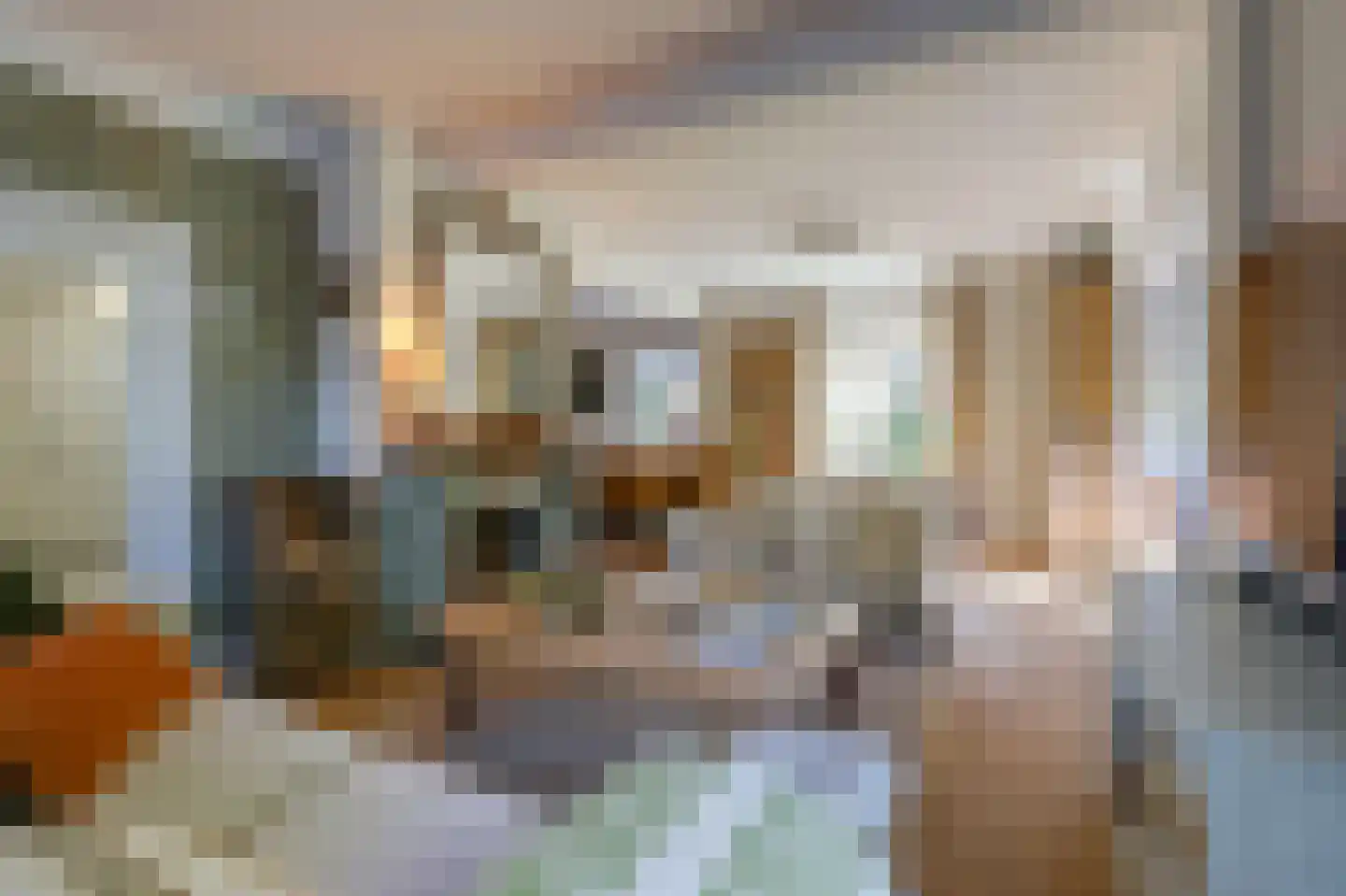 Dalweg 4 De Steeg thumbnail 18