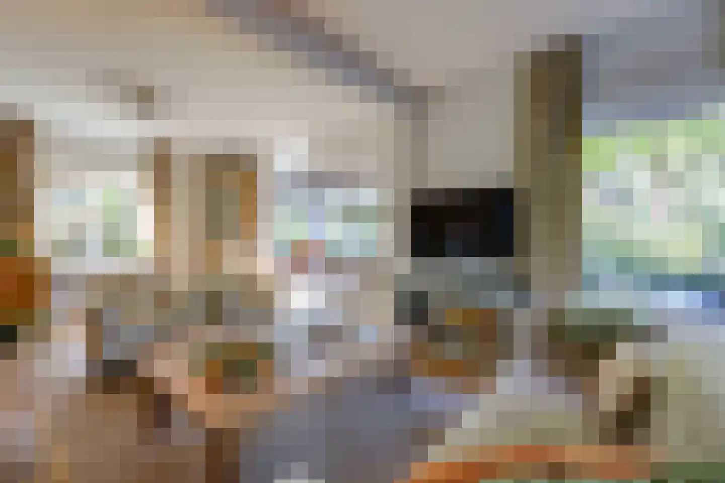 Dalweg 4 De Steeg thumbnail 21