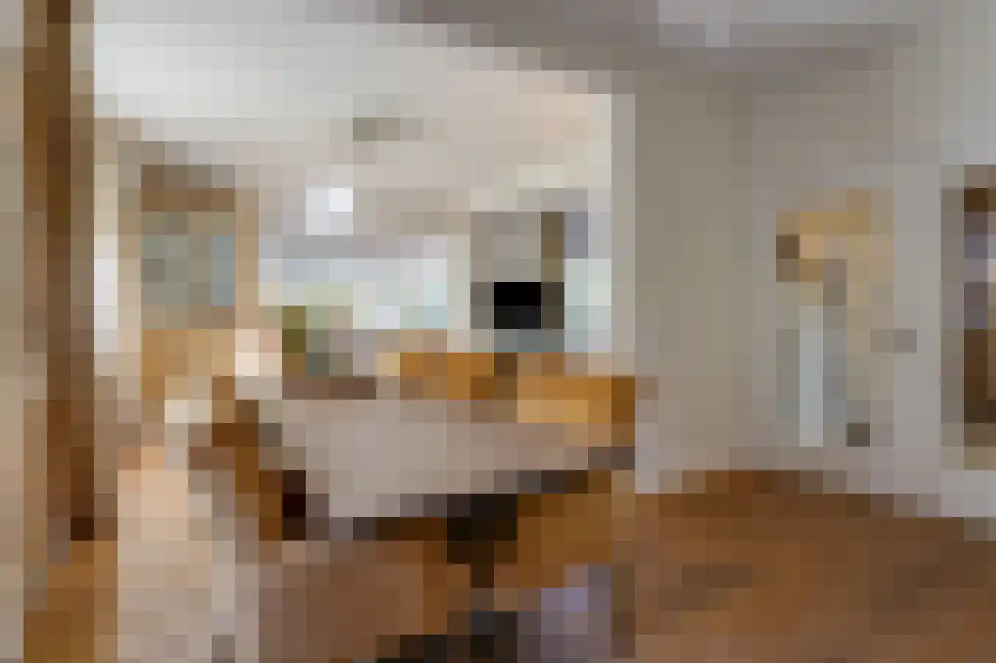Dalweg 4 De Steeg thumbnail 23