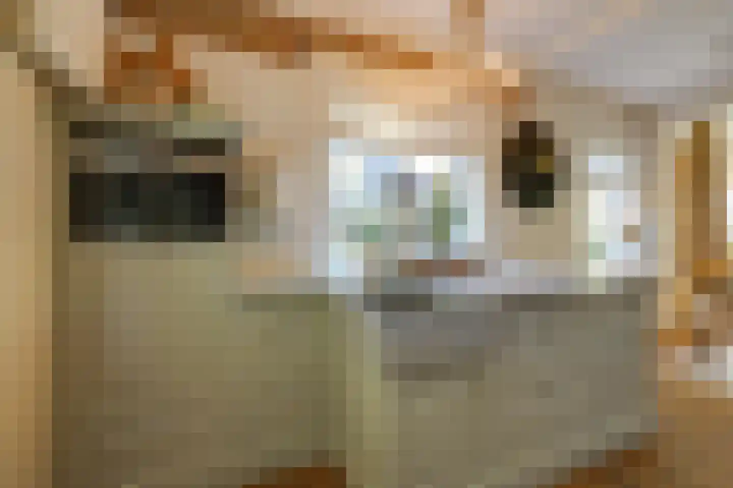 Dalweg 4 De Steeg thumbnail 25