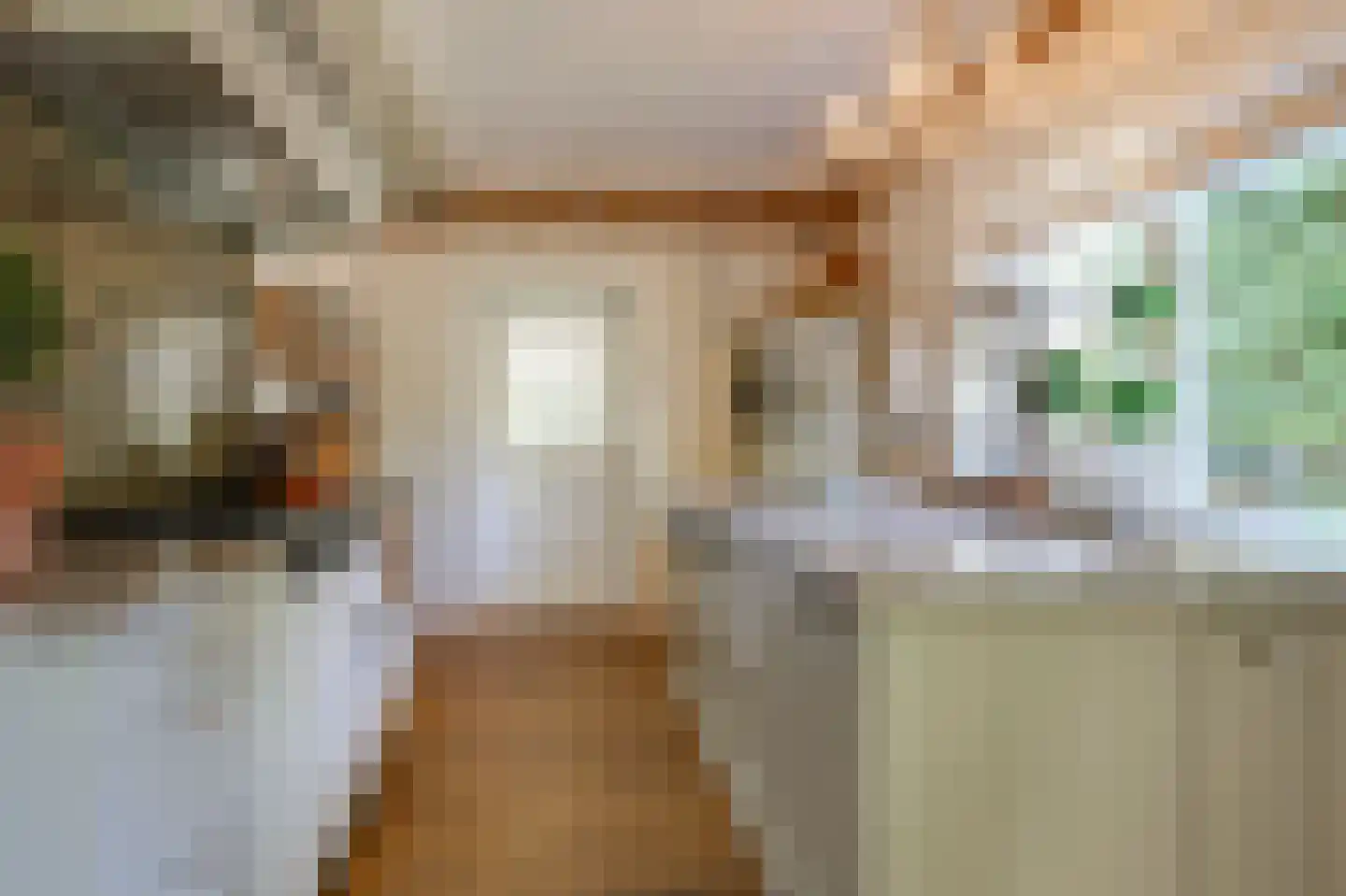 Dalweg 4 De Steeg thumbnail 28