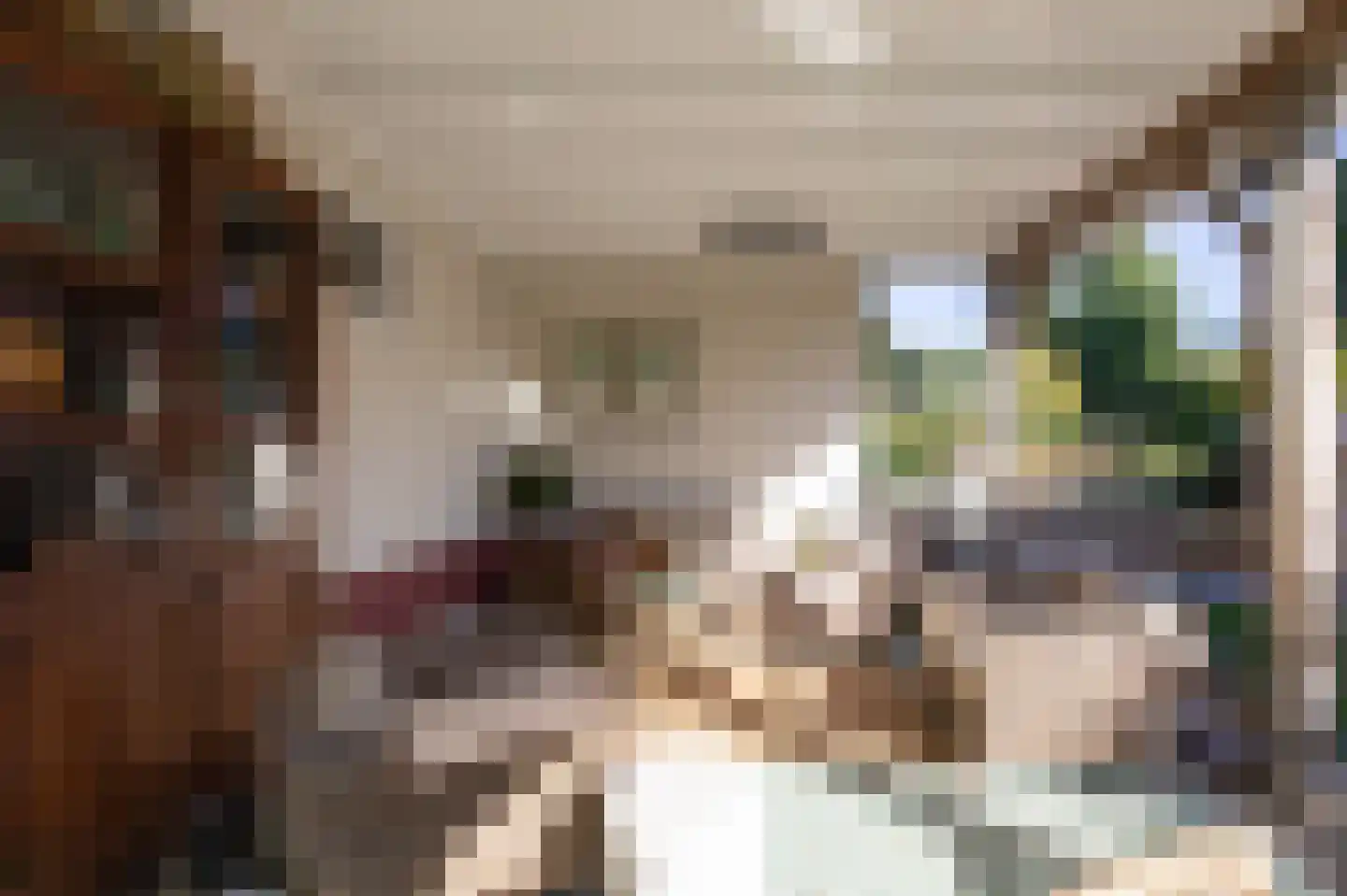 Dalweg 4 De Steeg thumbnail 29