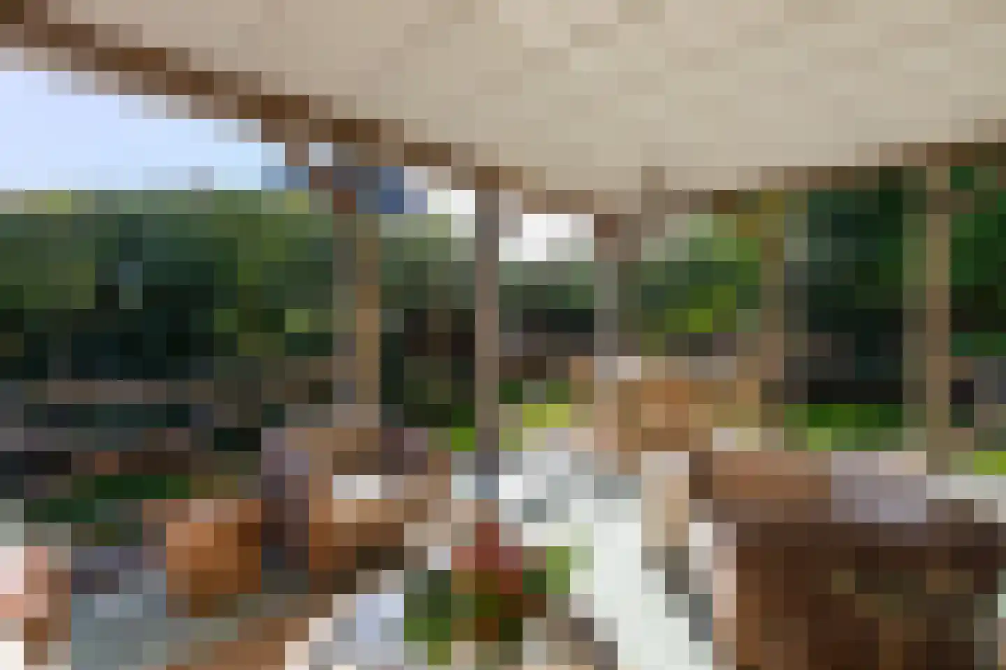 Dalweg 4 De Steeg thumbnail 30