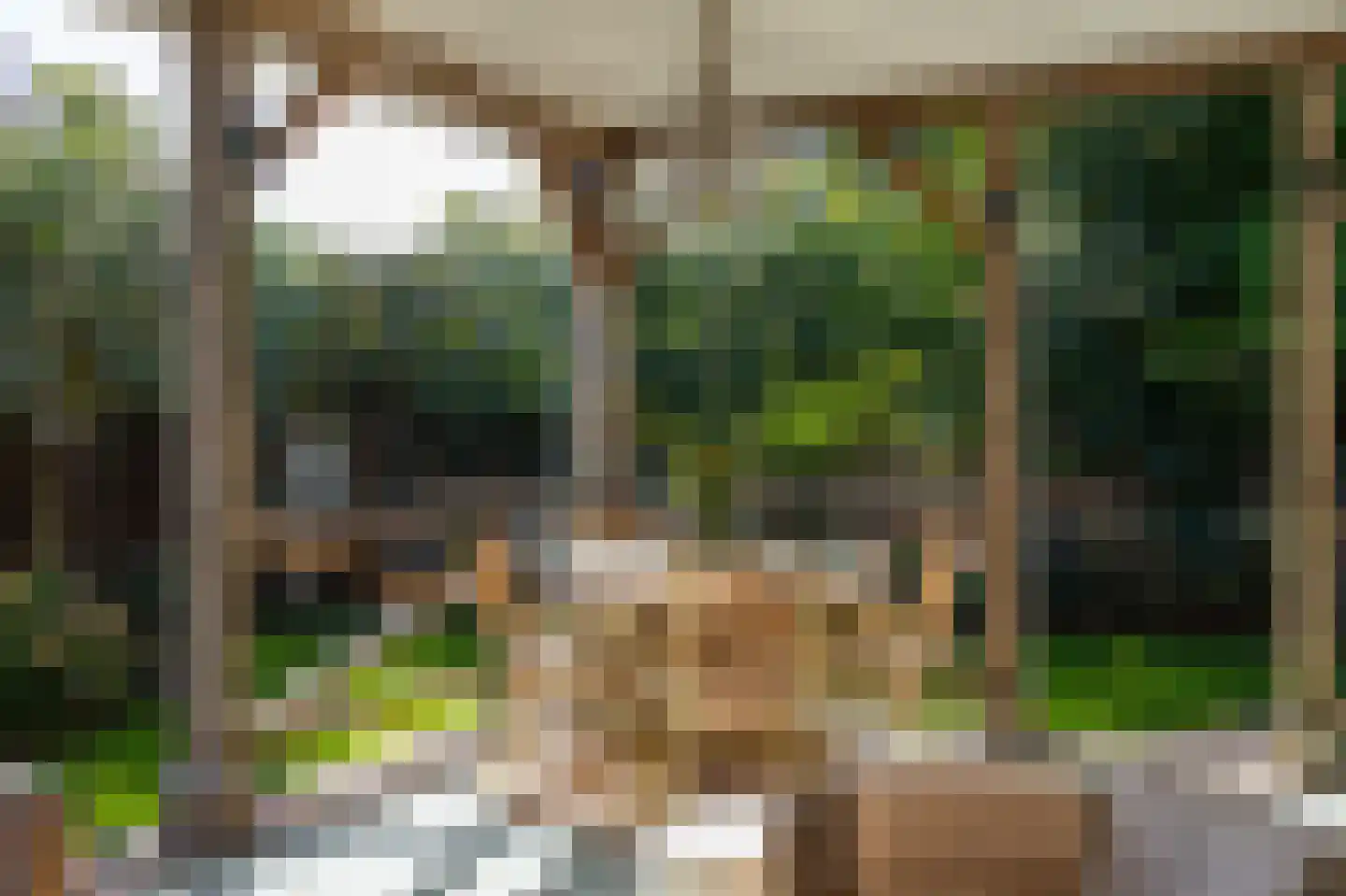 Dalweg 4 De Steeg thumbnail 31