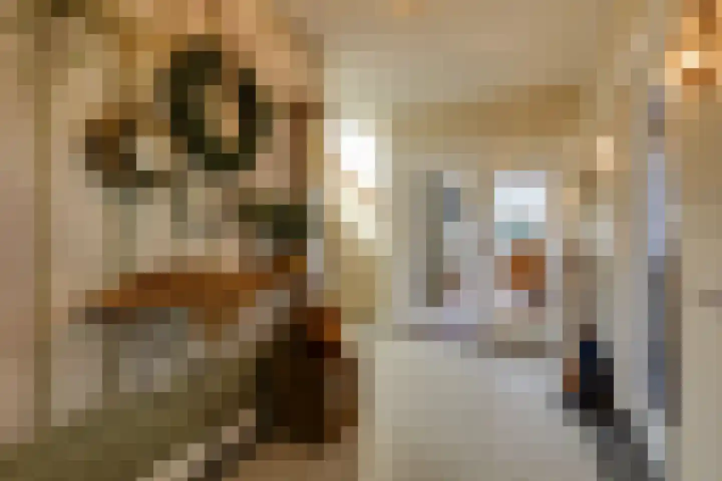 Dalweg 4 De Steeg thumbnail 32