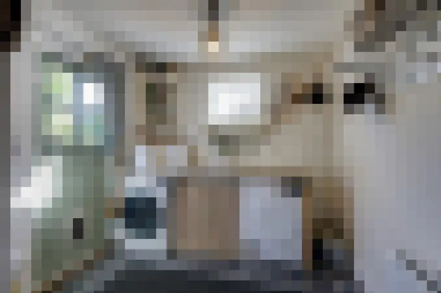 Dalweg 4 De Steeg thumbnail 35