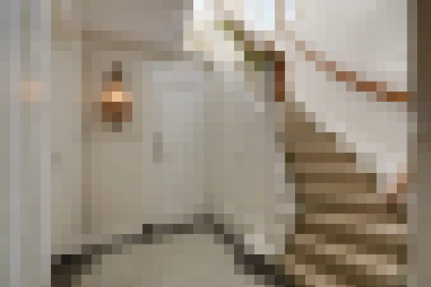 Dalweg 4 De Steeg thumbnail 36