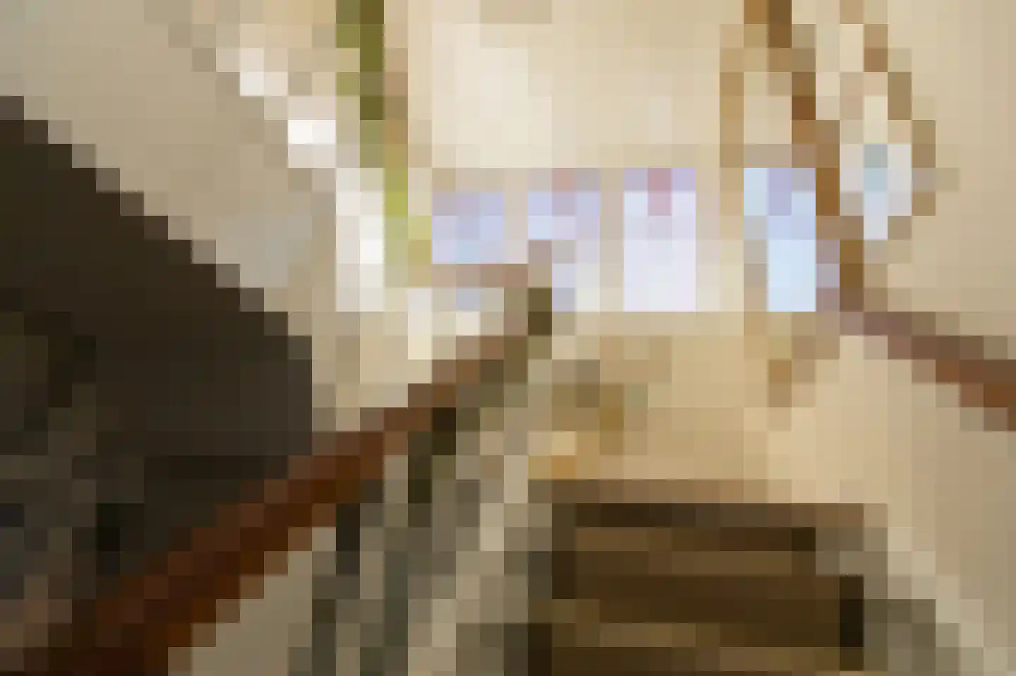 Dalweg 4 De Steeg thumbnail 37