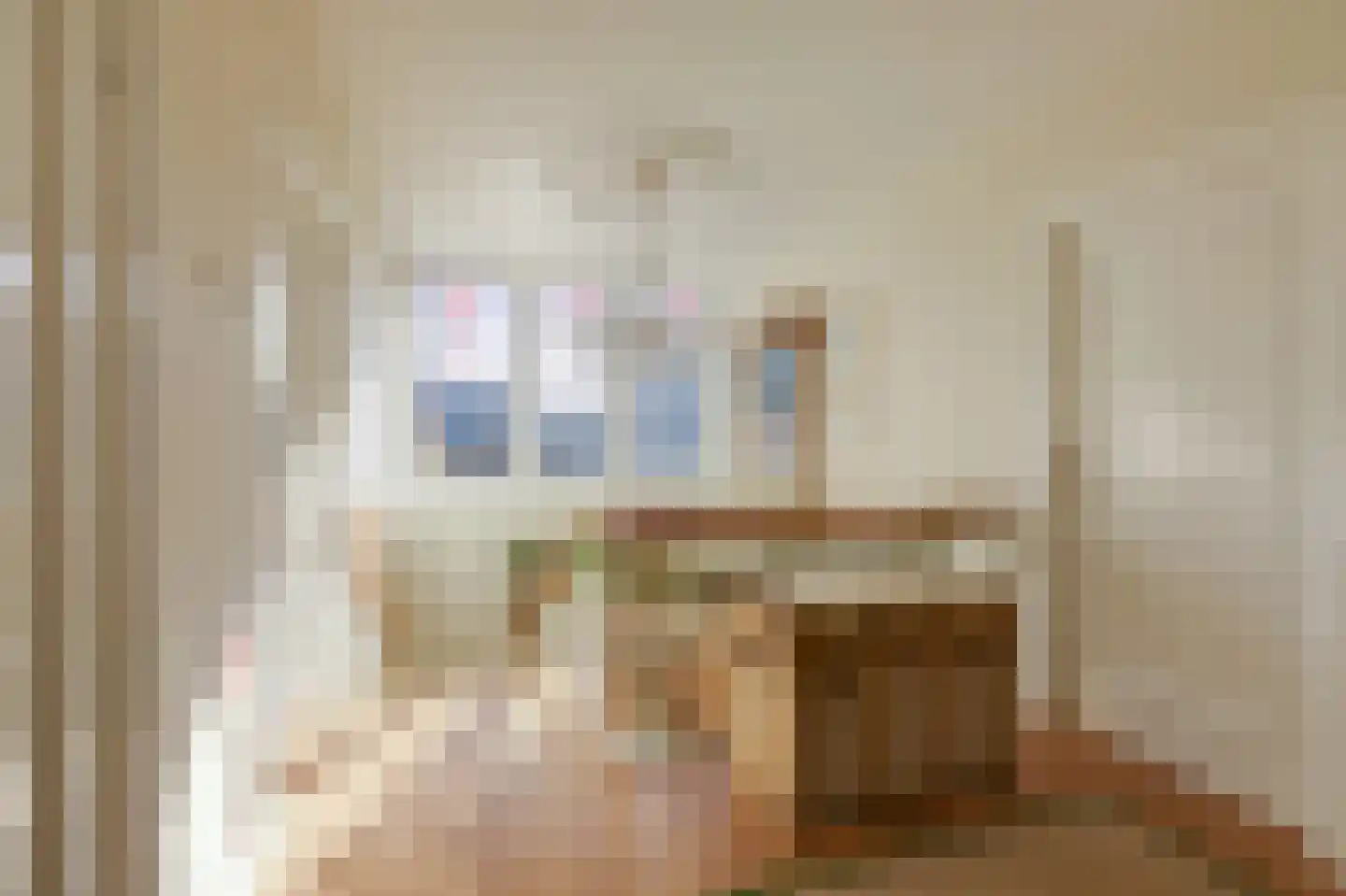Dalweg 4 De Steeg thumbnail 38