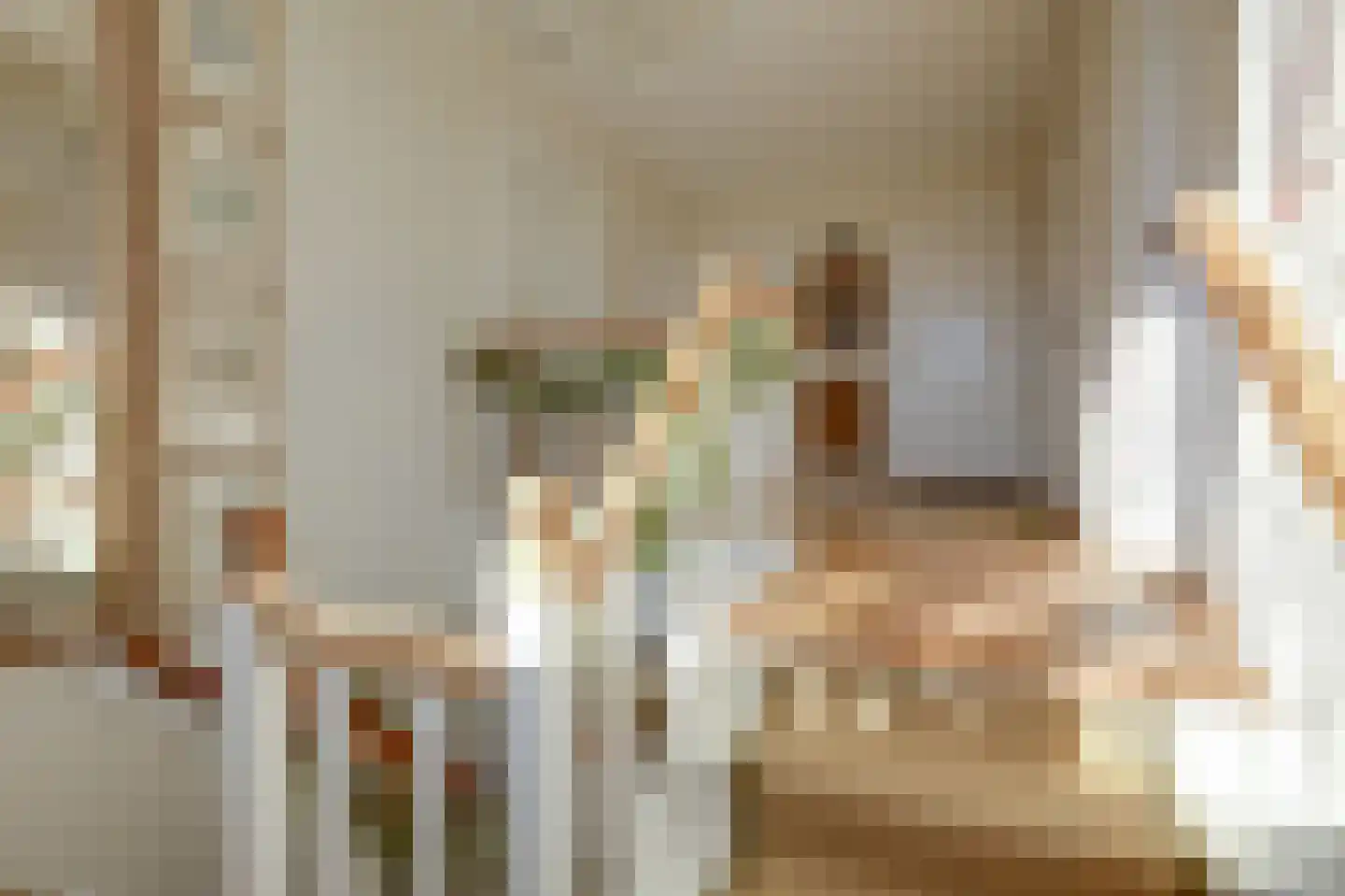 Dalweg 4 De Steeg thumbnail 39