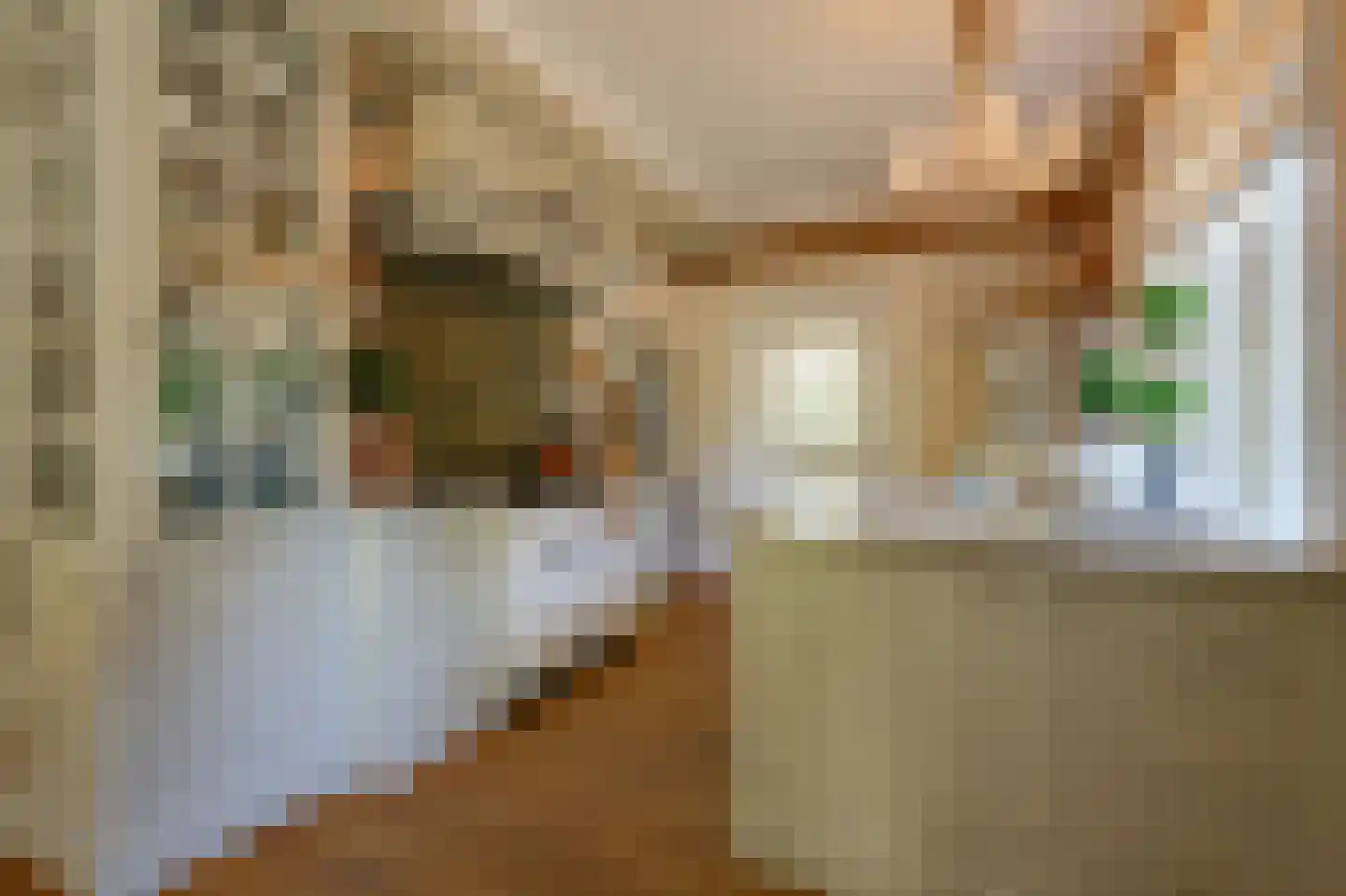 Dalweg 4 De Steeg thumbnail 4