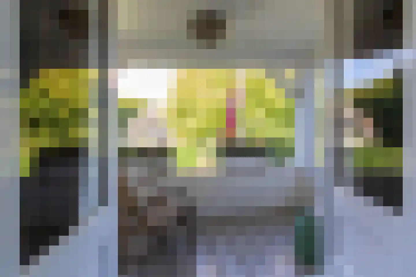 Dalweg 4 De Steeg thumbnail 42