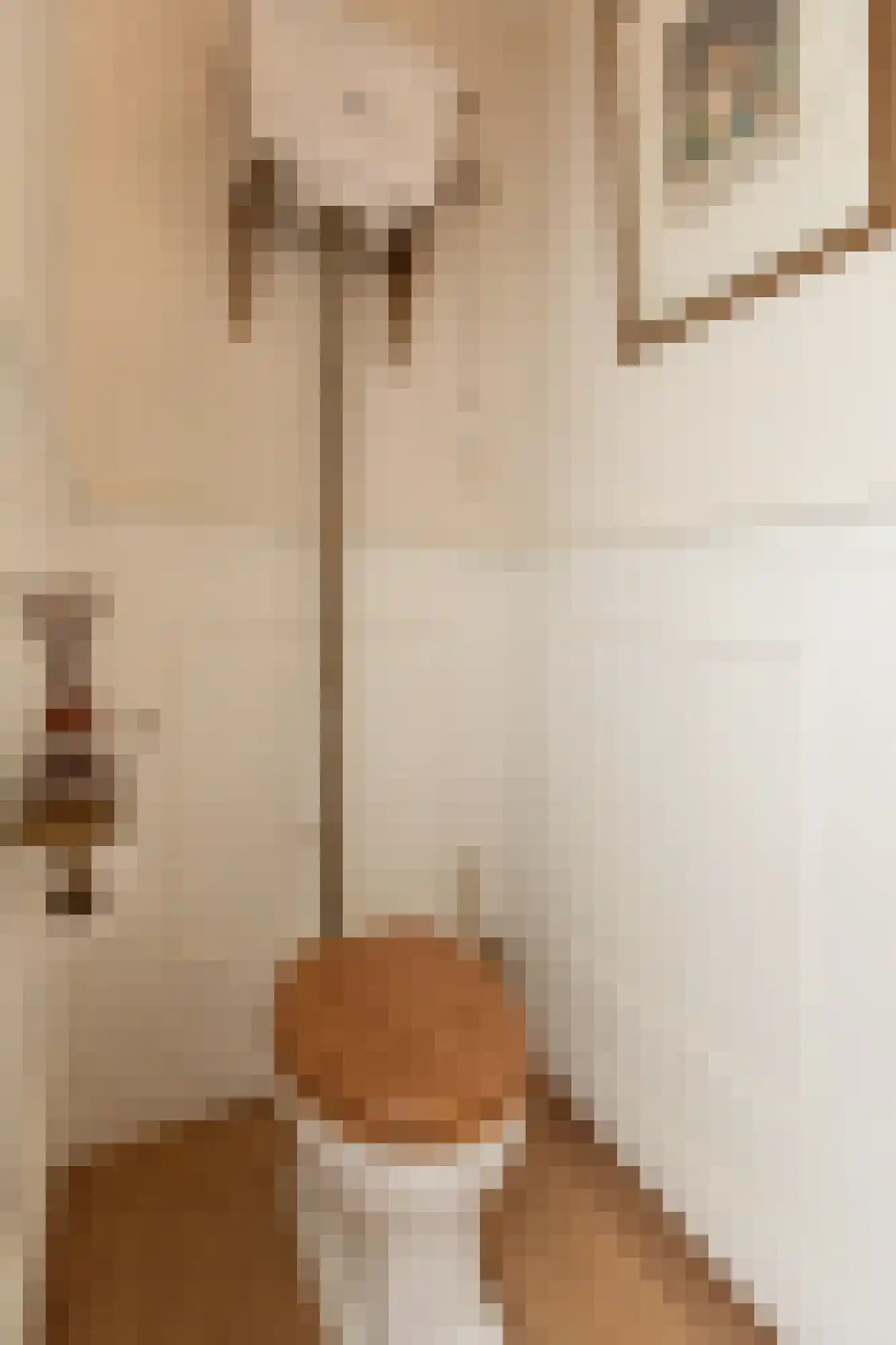 Dalweg 4 De Steeg thumbnail 44