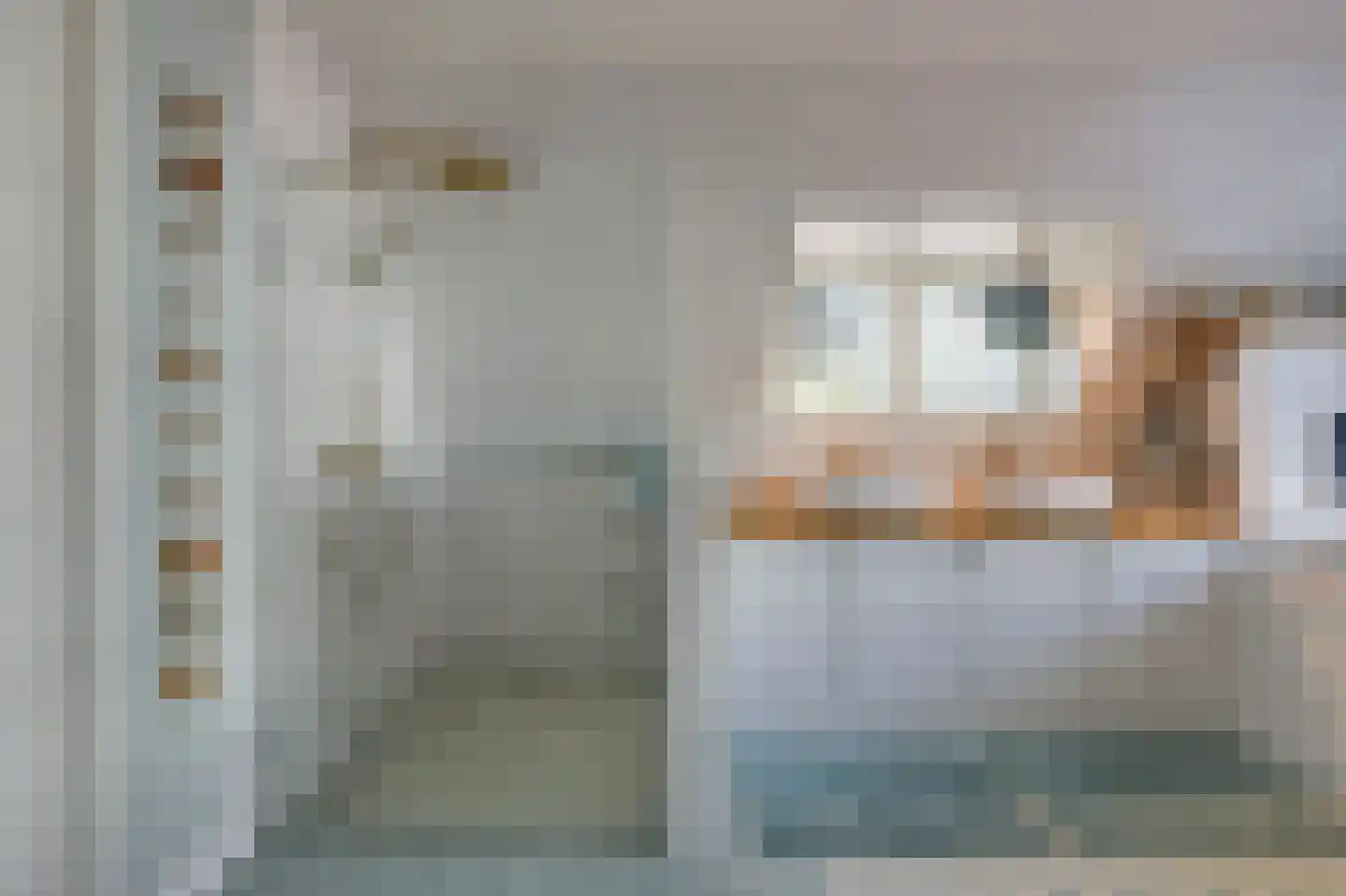 Dalweg 4 De Steeg thumbnail 48