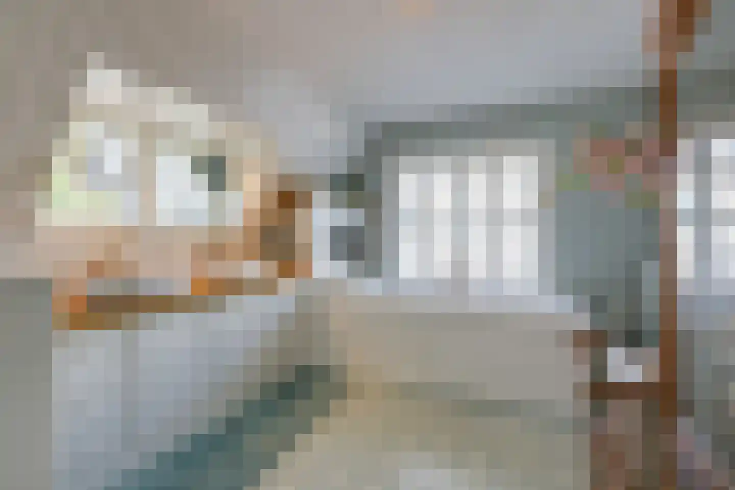 Dalweg 4 De Steeg thumbnail 49
