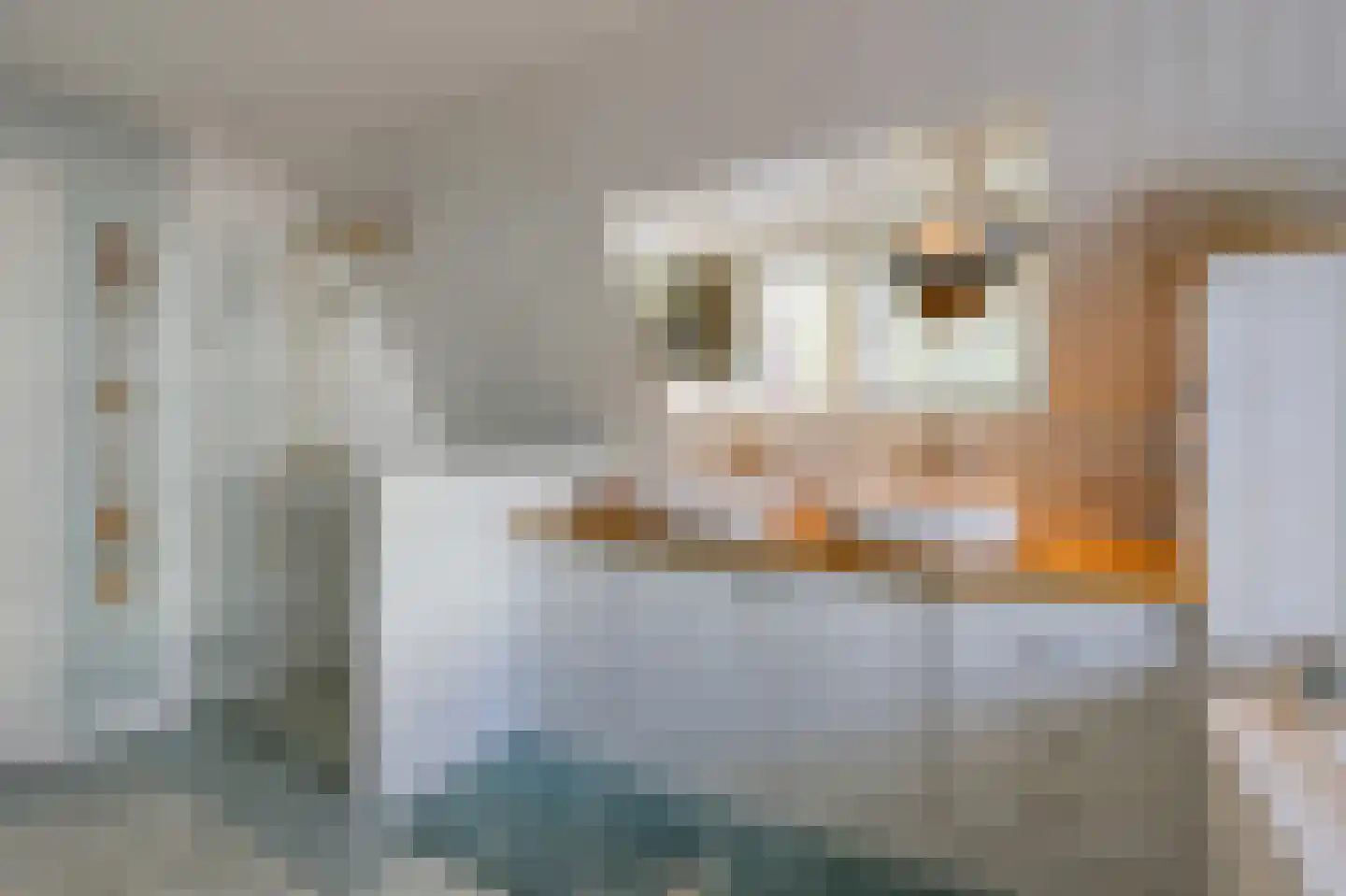 Dalweg 4 De Steeg thumbnail 50